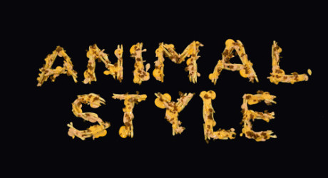 Animal Style ดาวน์โหลดริงโทนฟรี