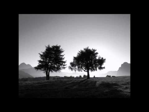 Two Trees Scarica suoneria gratis