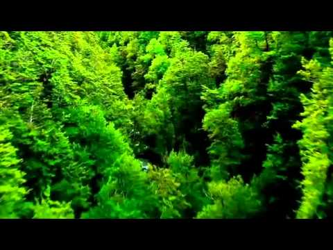 Run Away (Original Mix Edit) Dzwonek Pobierz za darmo
