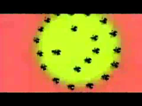 I Love Acid آهنگ زنگ دانلود رایگان