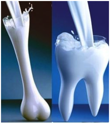 Calcium Zil sesi İndir Bedava
