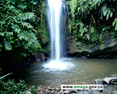 Amaga آهنگ زنگ دانلود رایگان