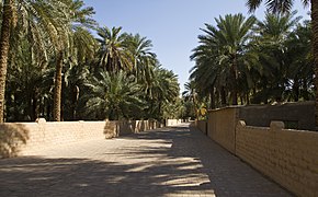 Arabian Oasis Sonnerie Télécharger Gratuit