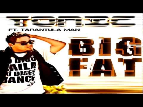 Big Fat (Radio Edit) ดาวน์โหลดริงโทนฟรี