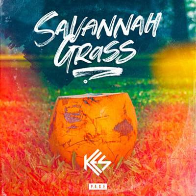 Savannah Grass Descarregar gratis el to de trucada