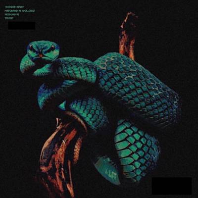 Designer Snakes ดาวน์โหลดริงโทนฟรี