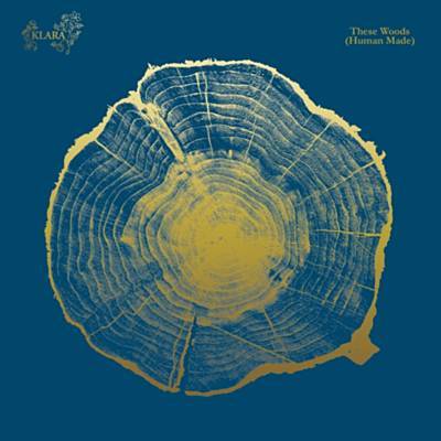 These Woods (Human Made) Melodija Parsisiųsti Nemokama