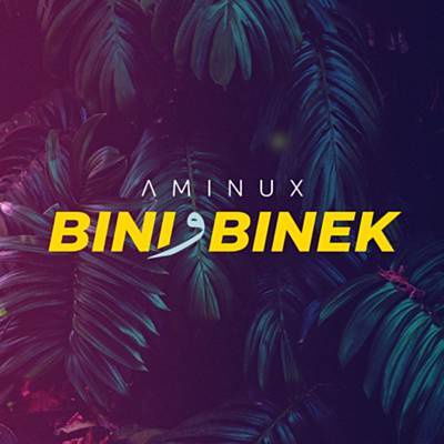 Bini W Binek Descarregar gratis el to de trucada