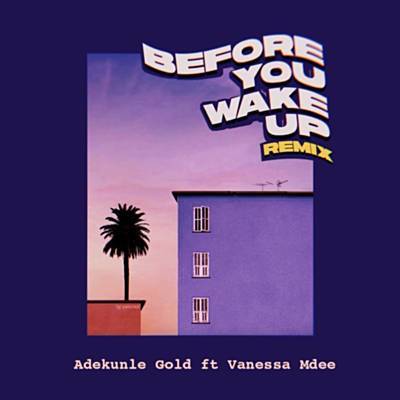 Before You Wake Up (Remix) Download de Toques Gratuitos