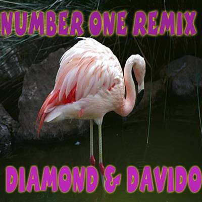 Number One (Remix) Descarregar gratis el to de trucada