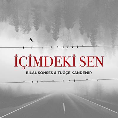 İçimdeki Sen Ringtone downloaden gratis