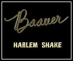 Harlem Shake Zəng melodiyası Pulsuz