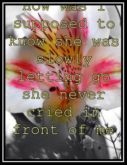 She Never Cried In Front Of Me آهنگ زنگ دانلود رایگان