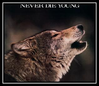 Never Die Young Descarregar gratis el to de trucada