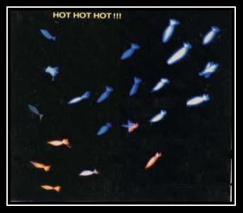 Hot Hot Hot!!! Klingelton kostenlos herunterladen