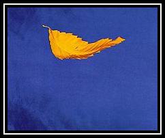 True Faith Scarica suoneria gratis