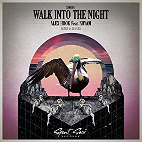Walk Into The Night (Original Mix) Vyzvánění ke stažení zdarma