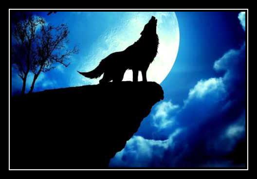 Shoot For The Moon آهنگ زنگ دانلود رایگان