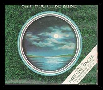 Say You'll Be Mine Descarregar gratis el to de trucada