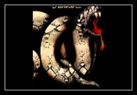 Stone Cold Sober Ringetone Download gratis