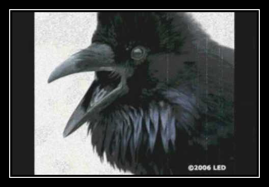 The Raven Scarica suoneria gratis