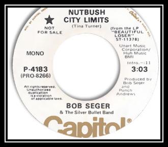 Nutbush City Limits Descarcă ton de apel gratuit