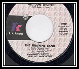 Shotgun Shuffle Descarregar gratis el to de trucada