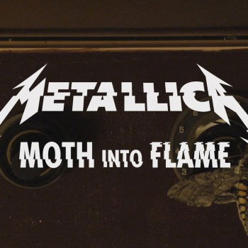 Moth Into Flame Скачати рінгтон безкоштовно
