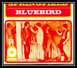 Bluebird רינגטונים להורדה בחינם