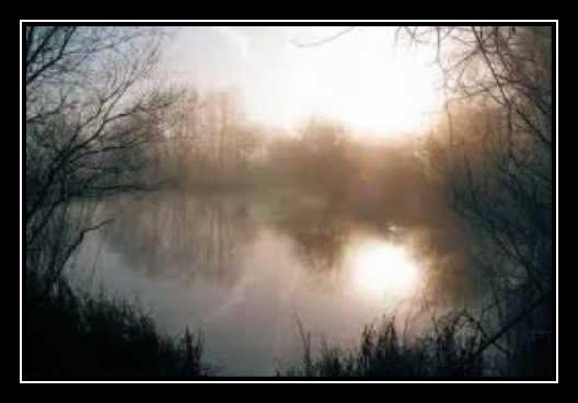 One Too Many Mornings Melodija Parsisiųsti Nemokama