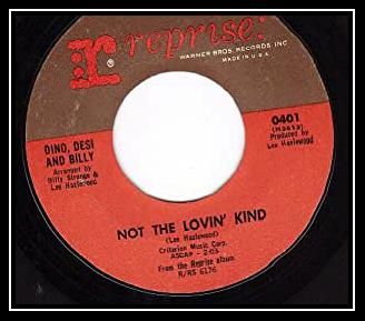 Not The Lovin' Kind آهنگ زنگ دانلود رایگان