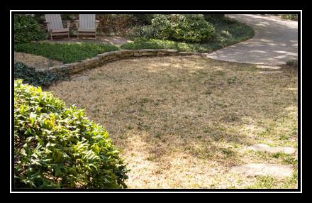 Green Grass Of Texas రింగ్‌టోన్ డౌన్‌లోడ్ ఉచితం