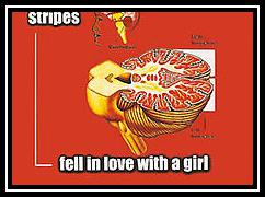 Fell In Love With A Girl Vyzvánění ke stažení zdarma