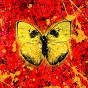 Shivers रिंगटोन डाउनलोड मुफ्त