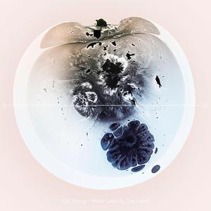 White Label (Is This Love) (Original Mix) Melodija Parsisiųsti Nemokama