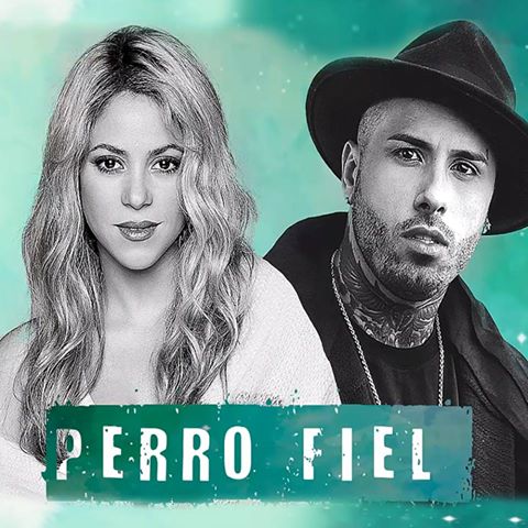 Perro Fiel Download de Toques Gratuitos