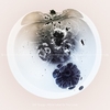 White Label 铃声免费下载