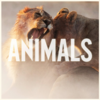 Animals ರಿಂಗ್‌ಟೋನ್ ಡೌನ್‌ಲೋಡ್ ಉಚಿತ