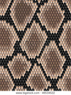 Snakeskin Zəng melodiyası Pulsuz