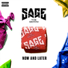 Now And Later (Amice Radio Edit) ரிங்டோன் பதிவிறக்கம் இலவசம்