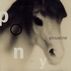 Pony آهنگ زنگ دانلود رایگان