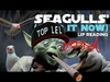 SEAGULLS Stop It Now Preuzimanje zvona Besplatno