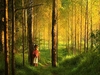 Forest Hymn آهنگ زنگ دانلود رایگان