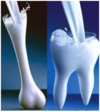 Calcium آهنگ زنگ دانلود رایگان