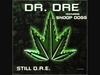 Dr. Dre & Snoop Dogg آهنگ زنگ دانلود رایگان