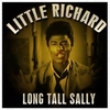 Long Tall Sally ರಿಂಗ್‌ಟೋನ್ ಡೌನ್‌ಲೋಡ್ ಉಚಿತ