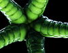 Tentacles Ringtone Last ned gratis