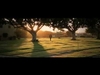 Destiny Of Love ดาวน์โหลดริงโทนฟรี