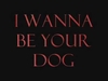 I Wanna Be Your Dog Ringtone Download Free