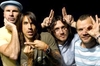 Butterfly Ringtone Last ned gratis